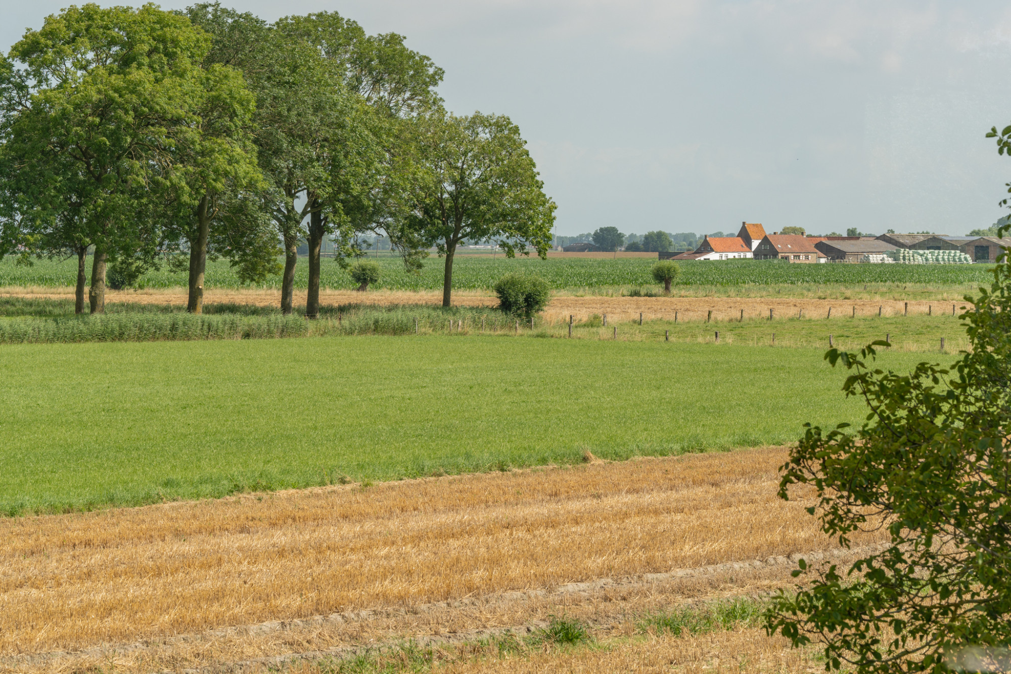 Oostkerke - Stadswoning