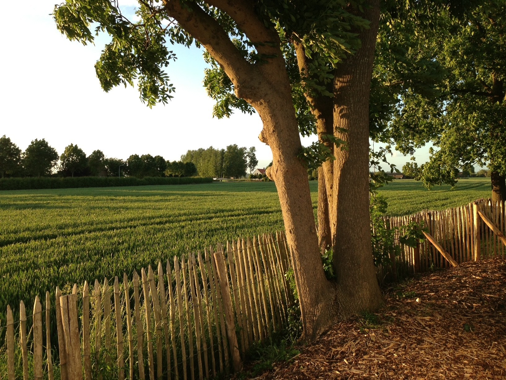 Heille - Bouwgrond