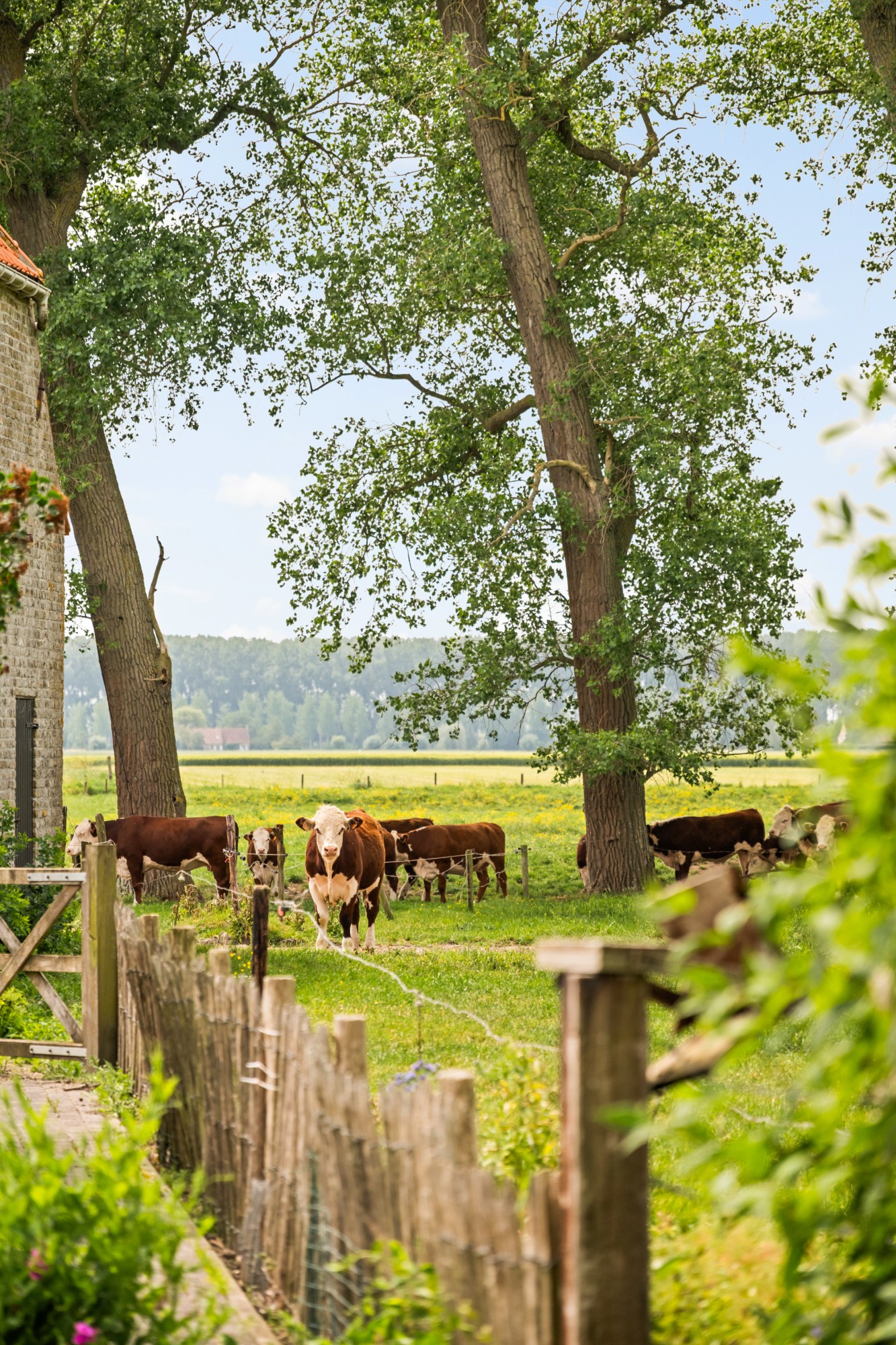 Damme - Hoeve