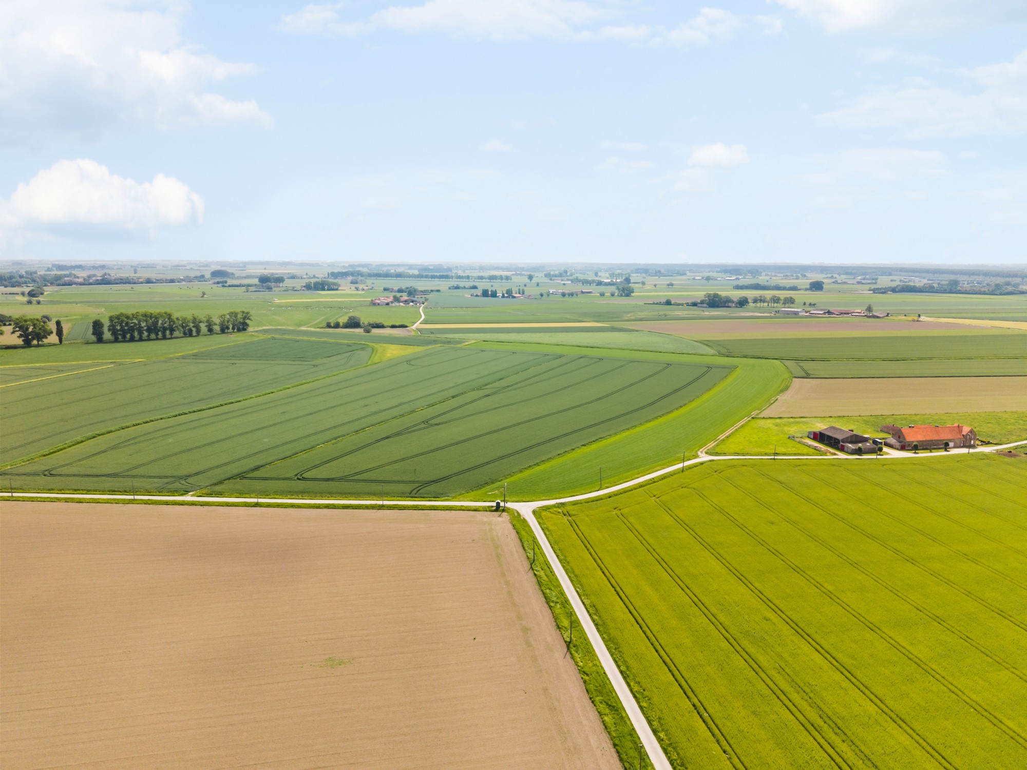 Damme - Hoeve