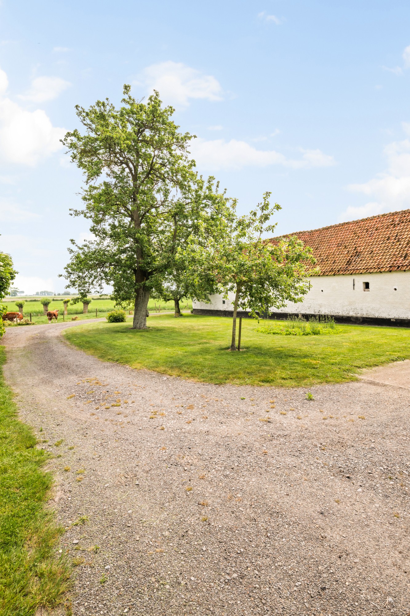 Damme - Hoeve