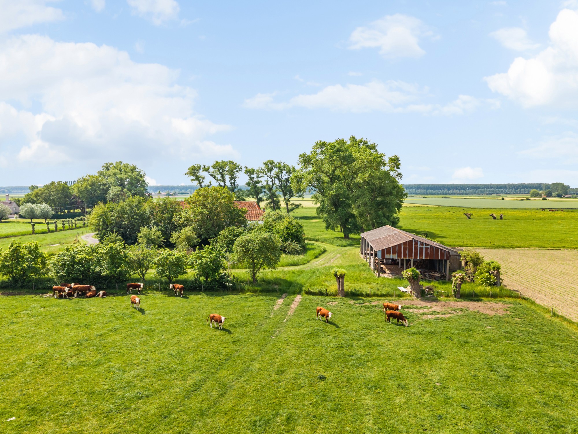 Damme - Hoeve