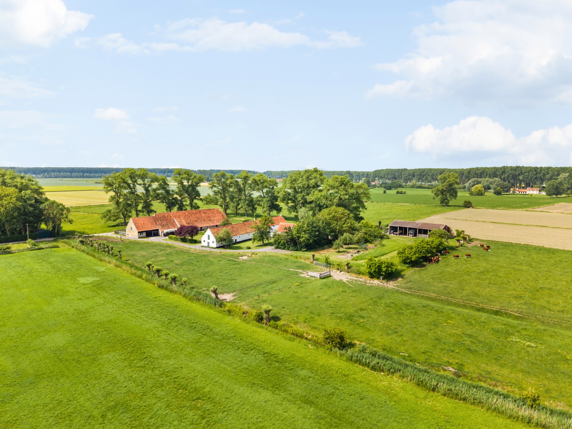 Damme - Hoeve