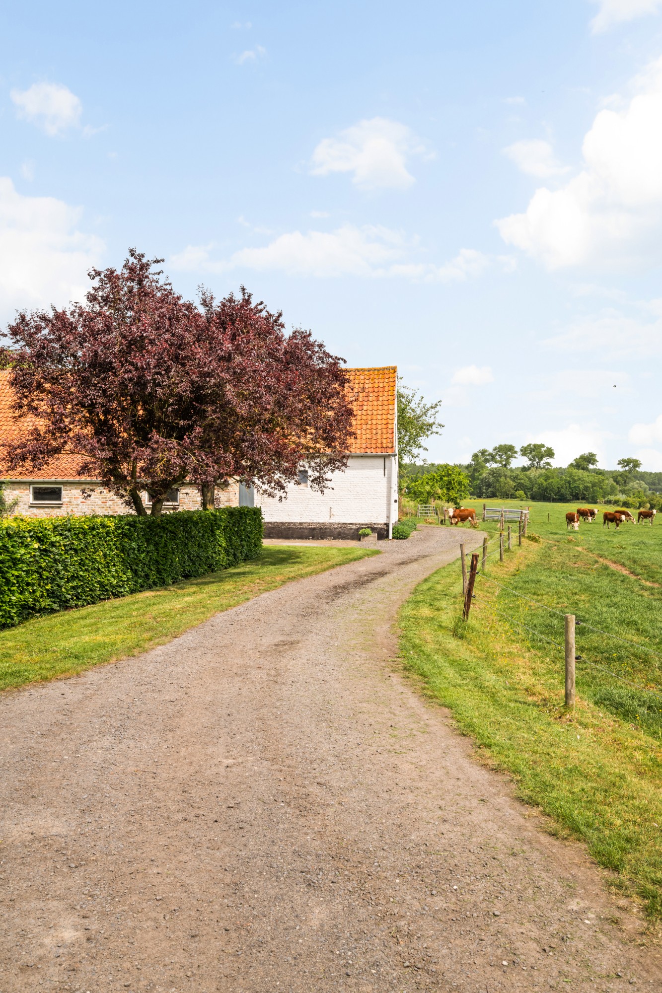 Damme - Hoeve