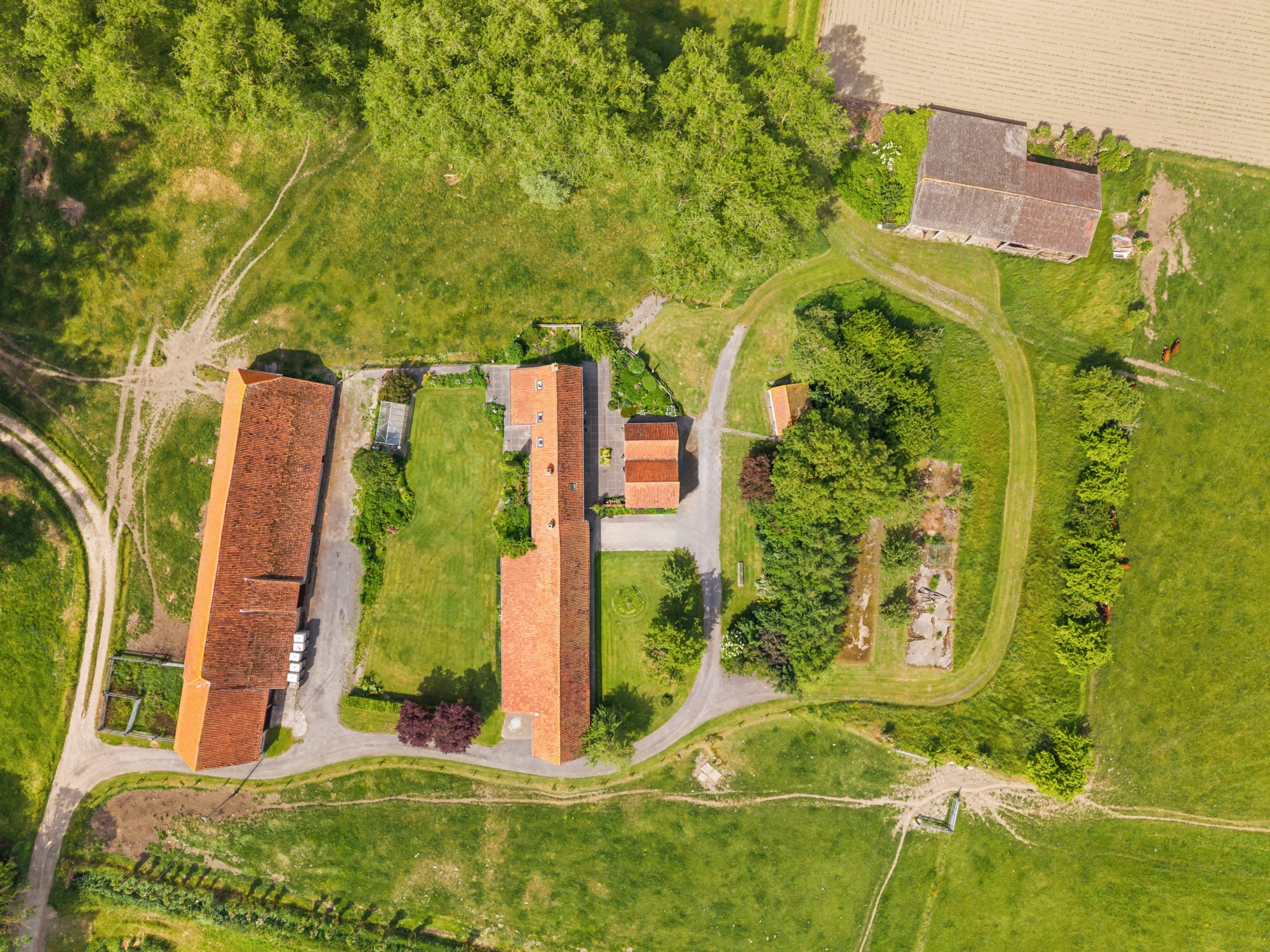 Damme - Hoeve