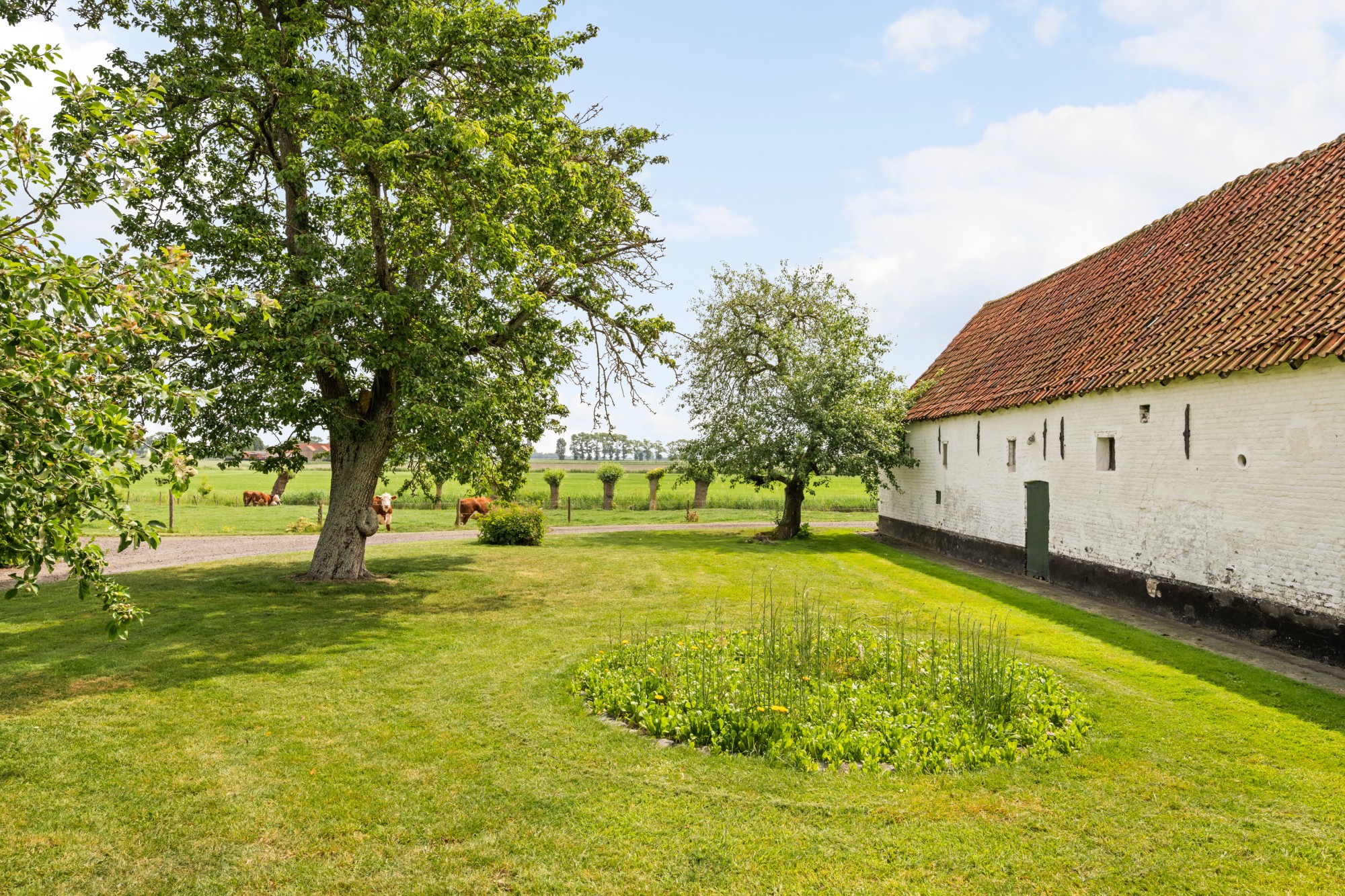 Damme - Hoeve