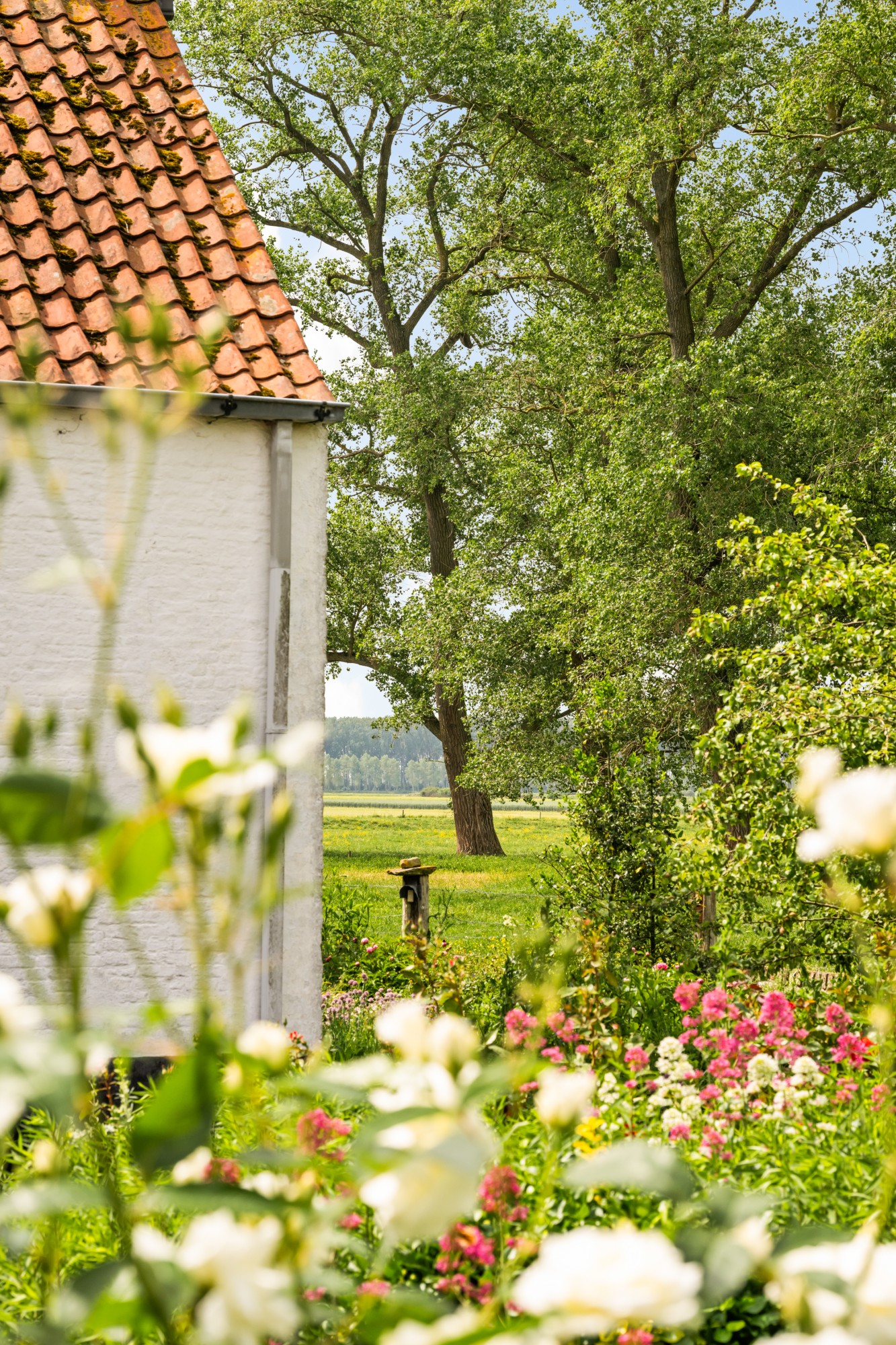 Damme - Hoeve