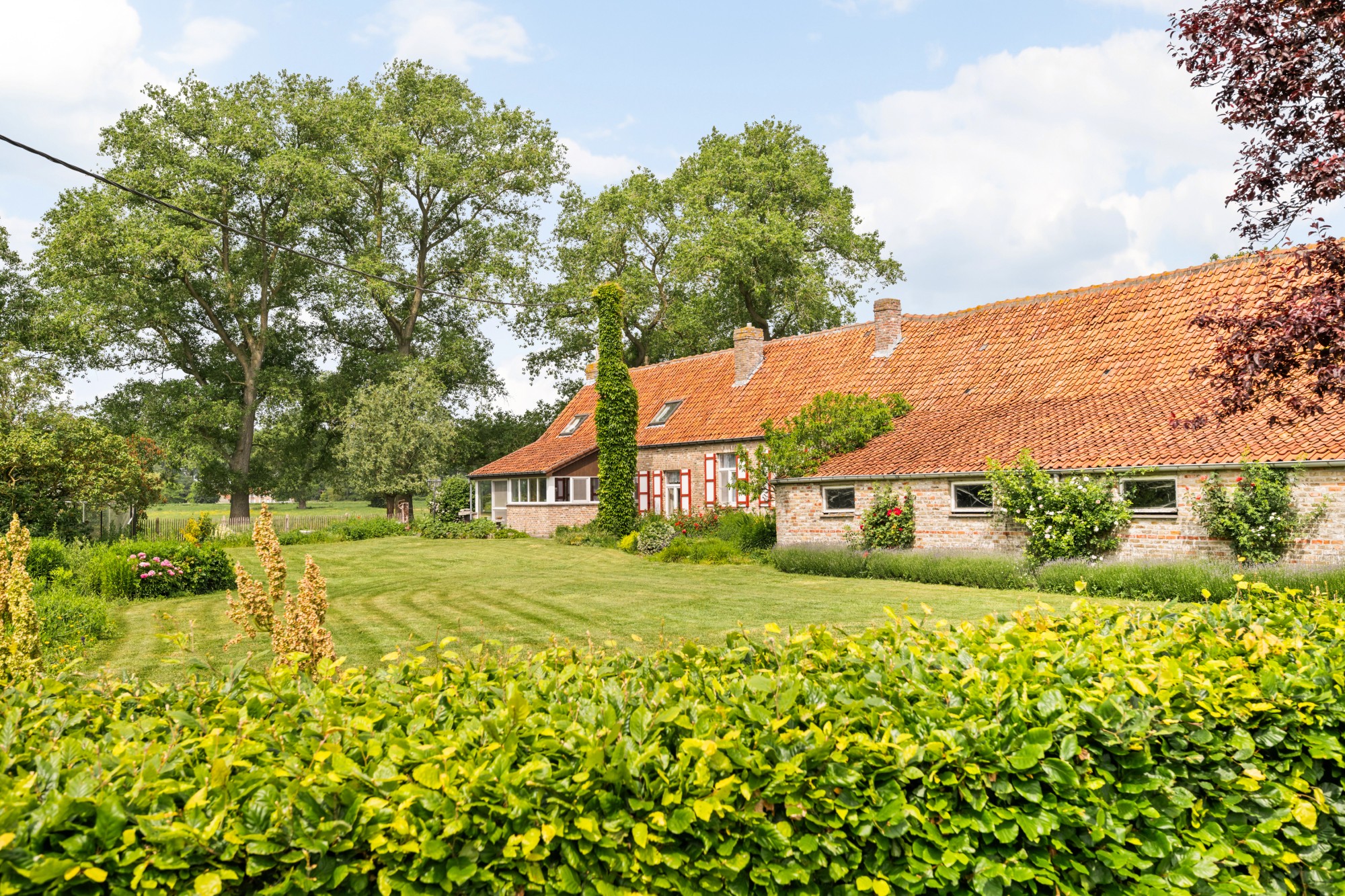 Damme - Hoeve